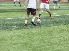 申花险胜川,崎前锋,成功晋级亚,广州赛马会,广州赛马,赛马活动,马术赛事