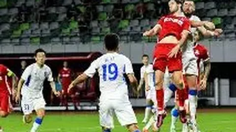 莱斯特城队官方确认 范尼担任球队主帅